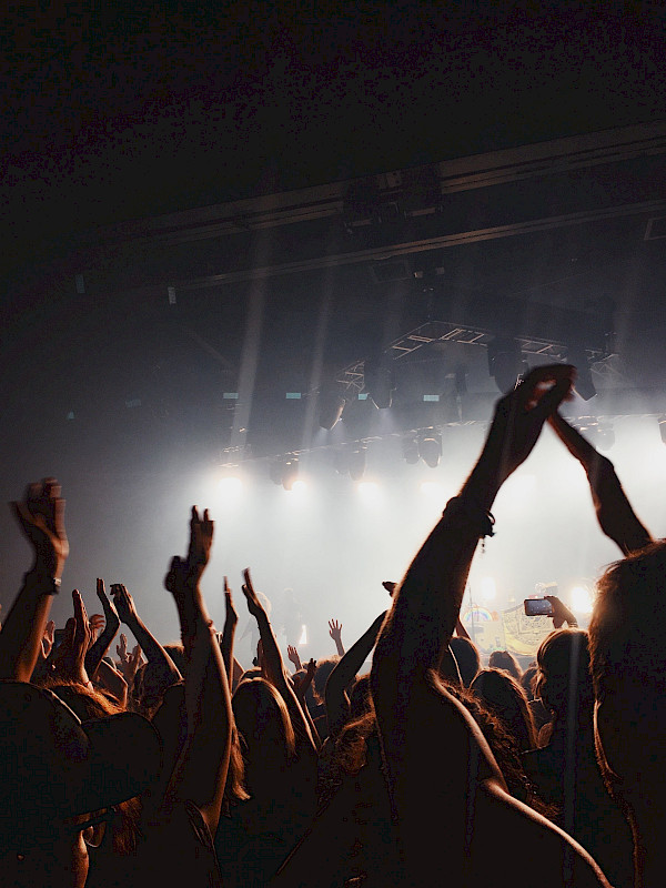 Verraspas,Theaterfanpas, Filmpas